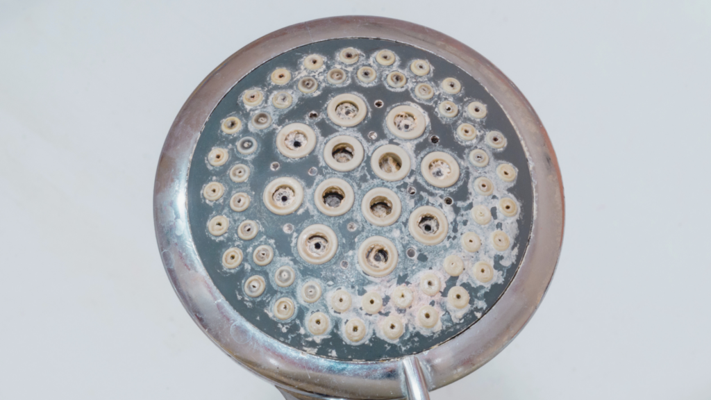 Aero brusehoved set forfra med tilkalkede dyser og kalkrester – viser behovet for afkalkning og forebyggelse af kalk i bruseren