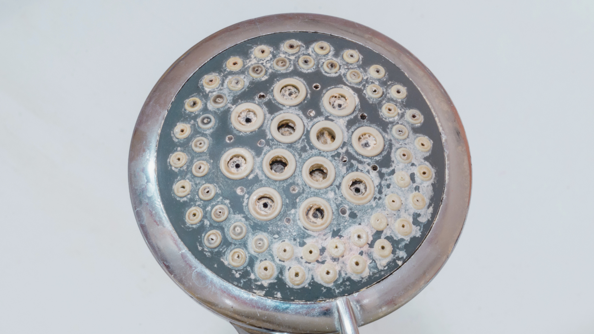 Aero brusehoved set forfra med tilkalkede dyser og kalkrester – viser behovet for afkalkning og forebyggelse af kalk i bruseren